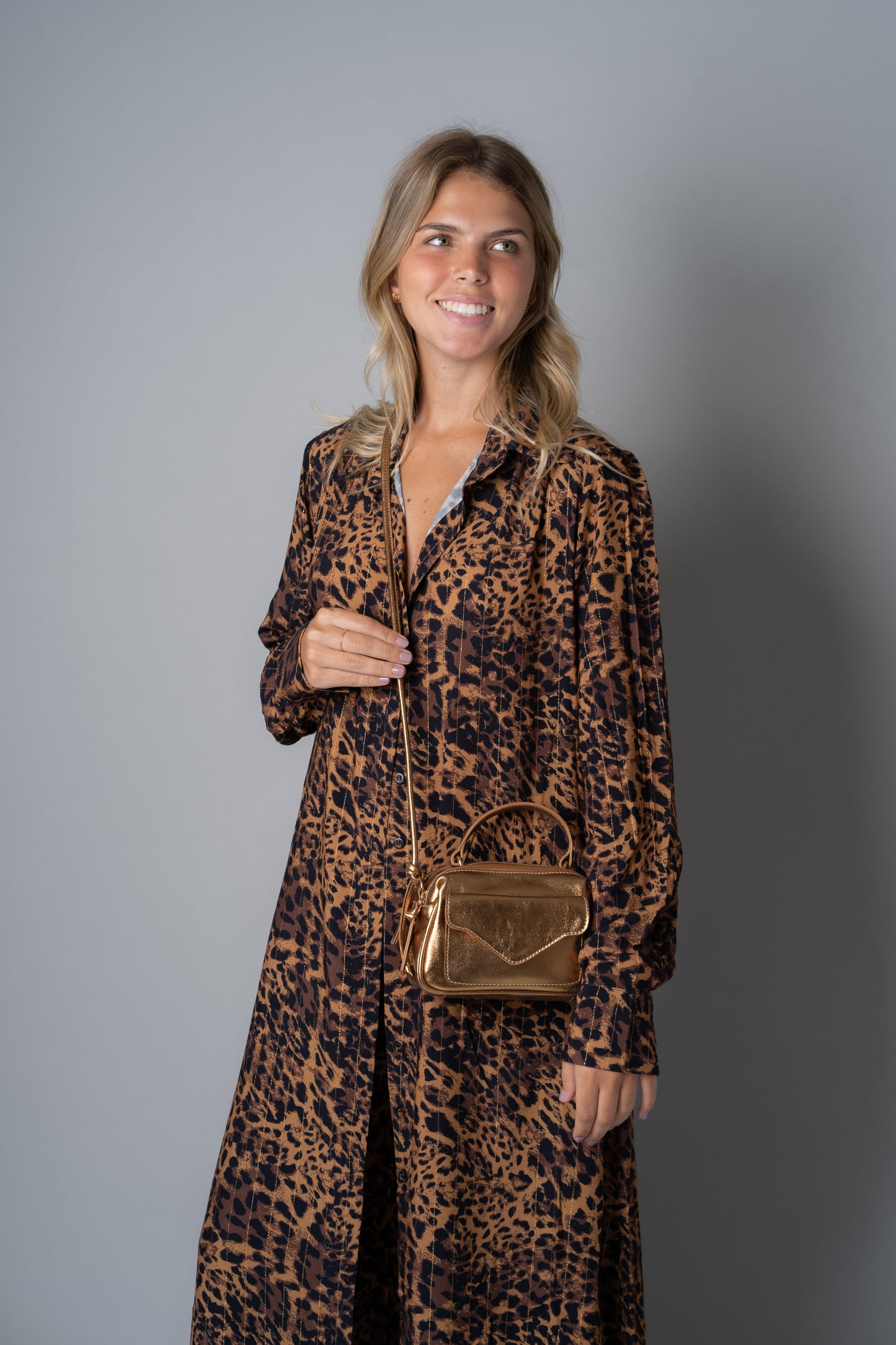 Anninha Metallic Bronze Bag