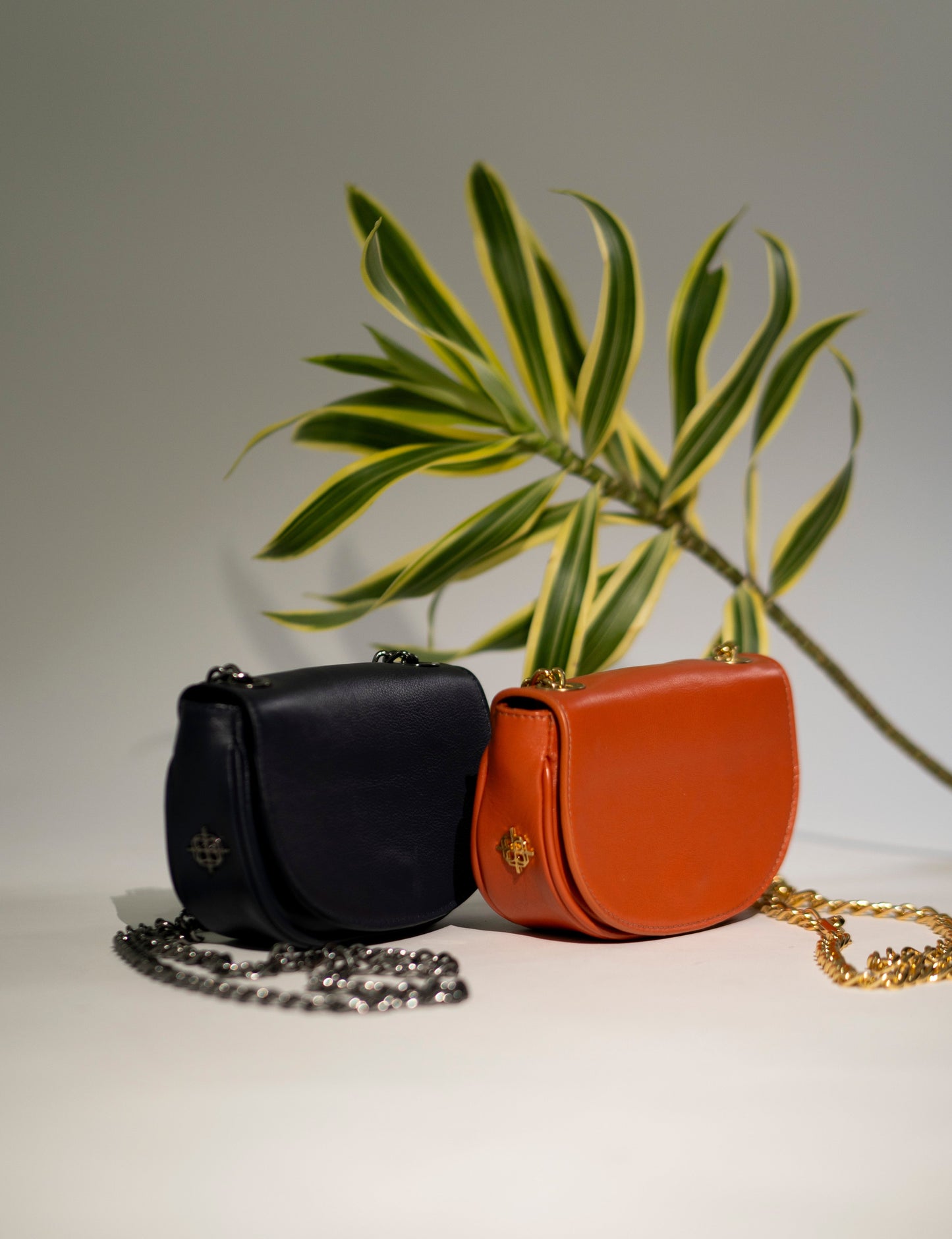 Emilia Marinho Scholarship