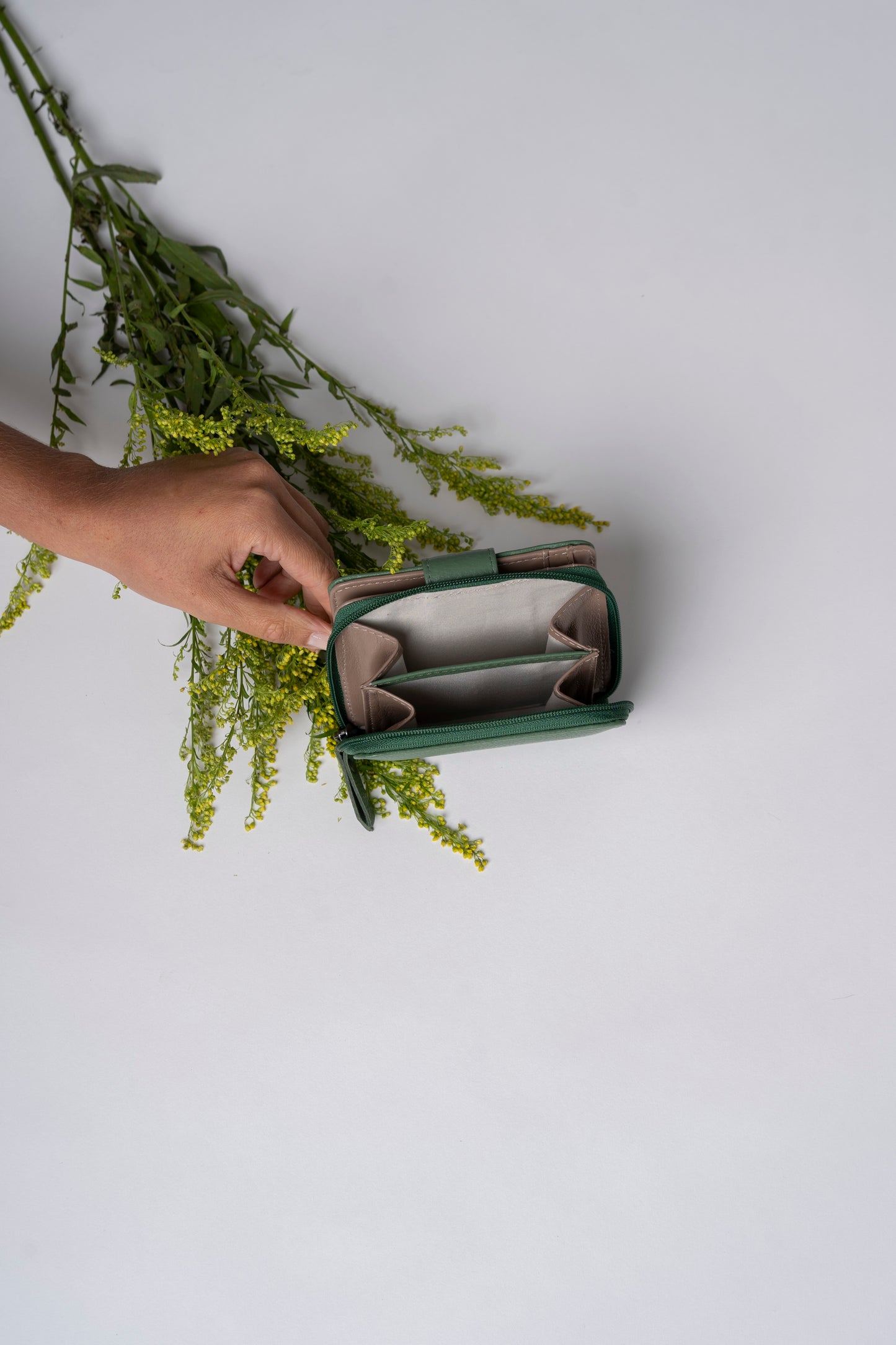 Modena Forest Wallet / Fendi