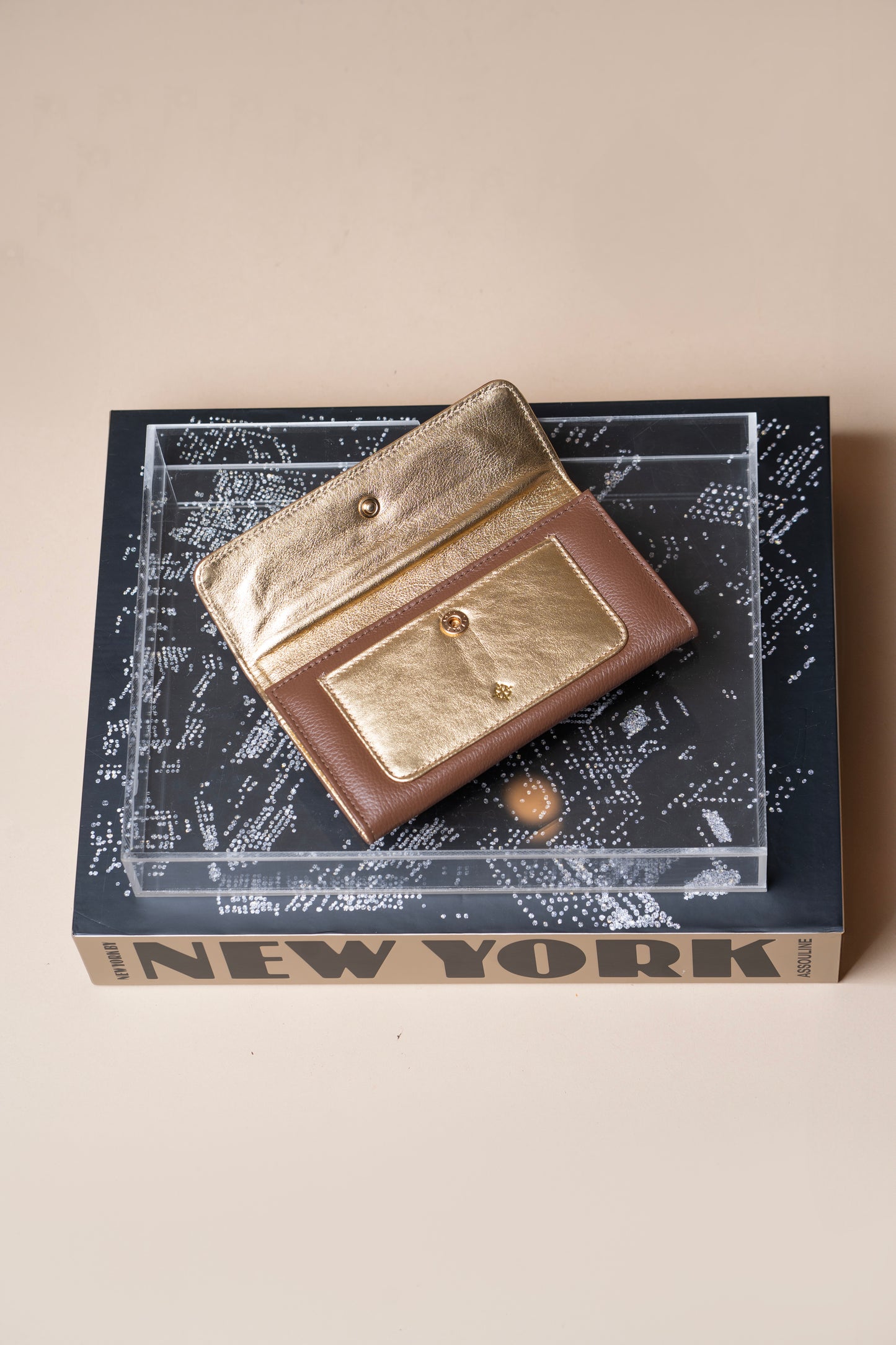 Carteira Pisa Expresso / Metalizado Ouro Light